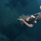 Illustration for article titled What it looks like when an octopus decides to steal your camera.